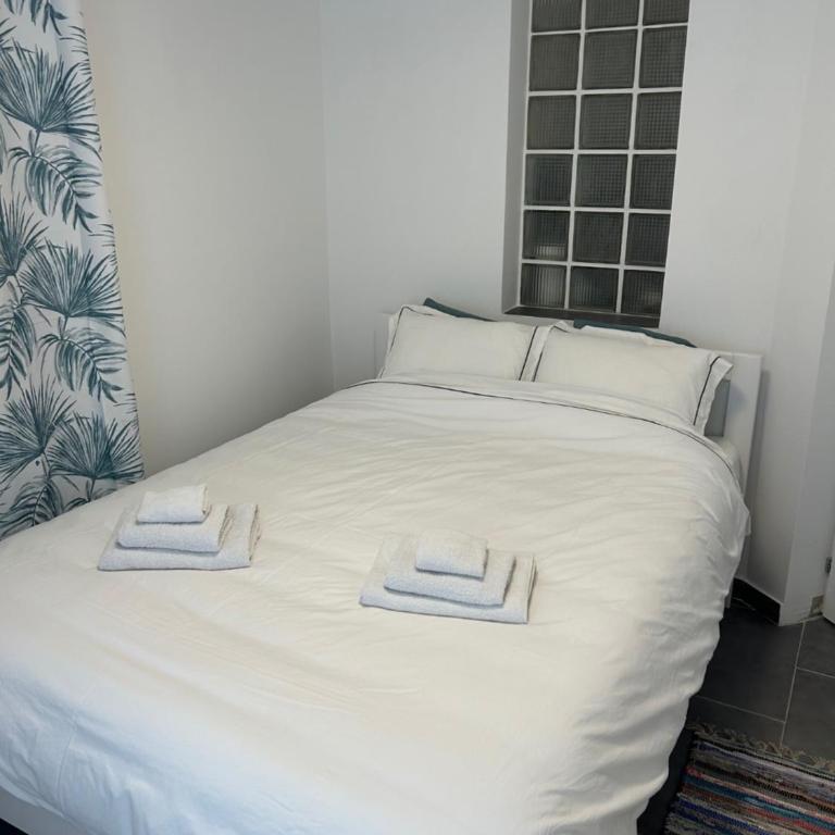 Bibi Zahumska apartman - Apartman sa 2 Spavaće Sobe - 2
