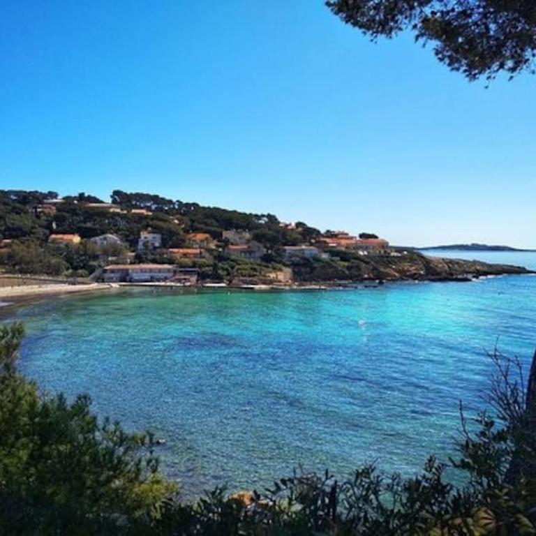 Joli appartement climatisé proche plage et port - Apartment mit 1 Schlafzimmer - 14