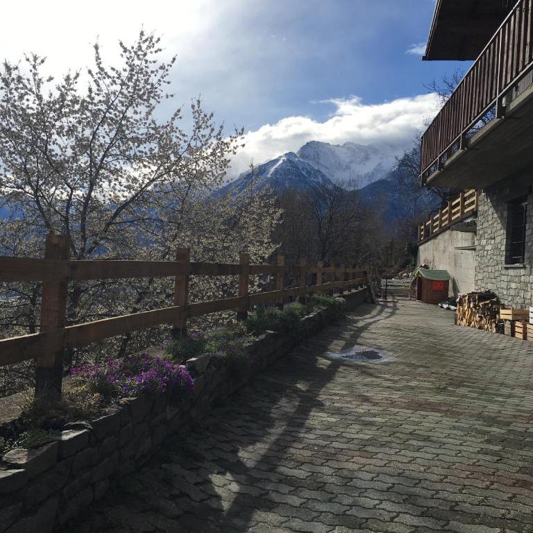 La casa del bosco - Appartamento - 18