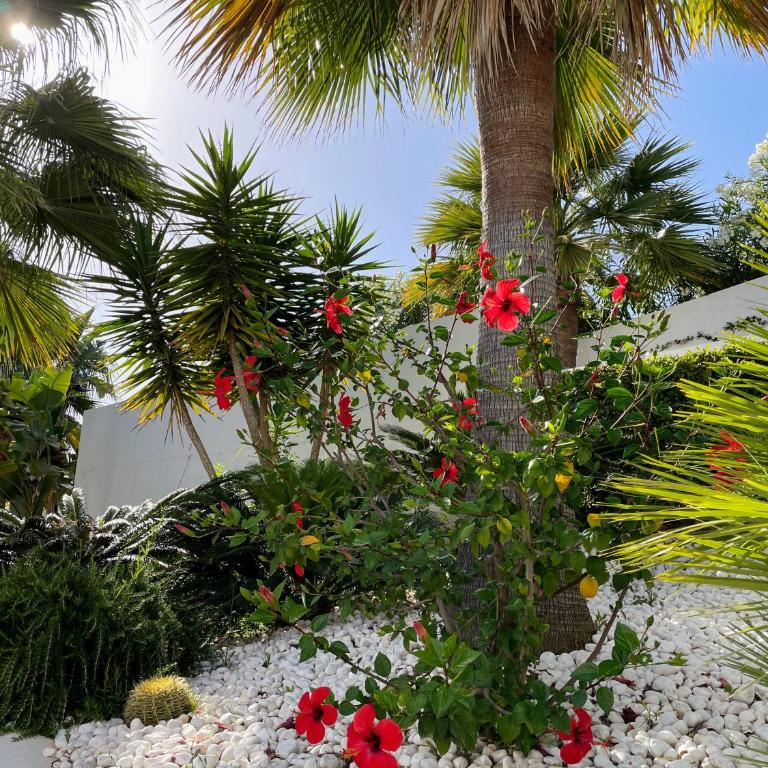 Superior apartment for golf, sea and nature lovers - Apartamento con vistas al mar - 23