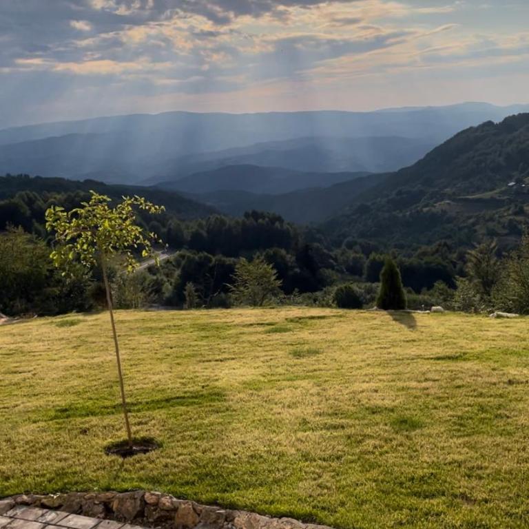 Mountain Bliss Residence - Milmari Spa & Wellness - Studio Apartman - 17