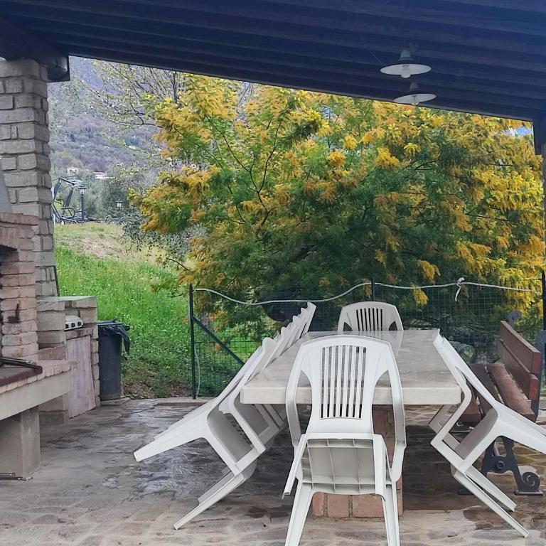 Agriturismo L'Uliveto - Appartamento con Vista Lago - 2