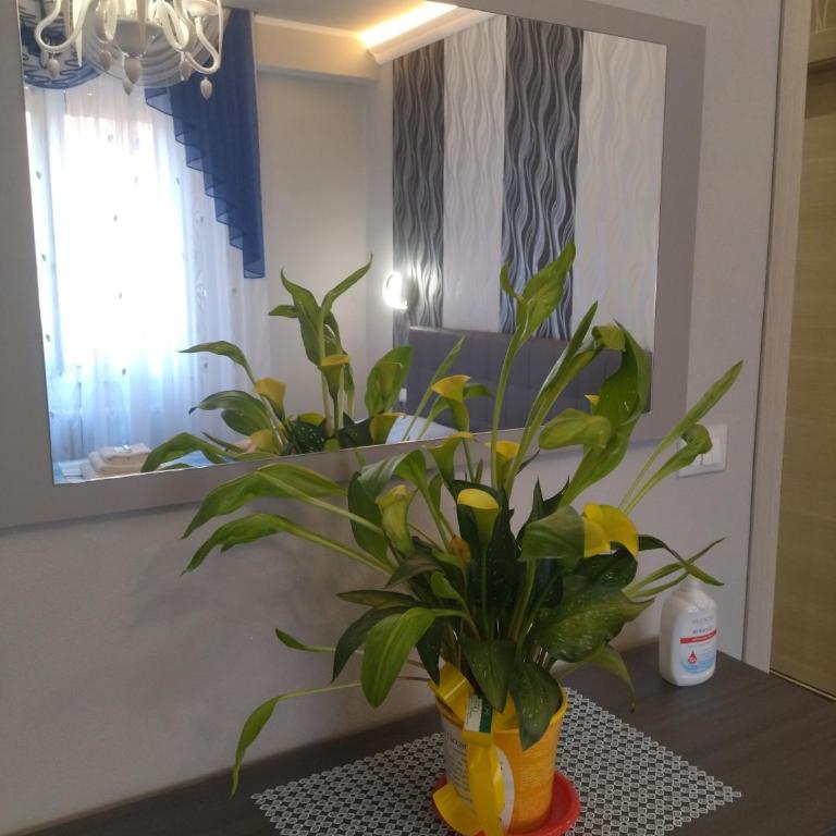 La Casa di Sonia - Camera Matrimoniale con Bagno Privato Esterno - 37