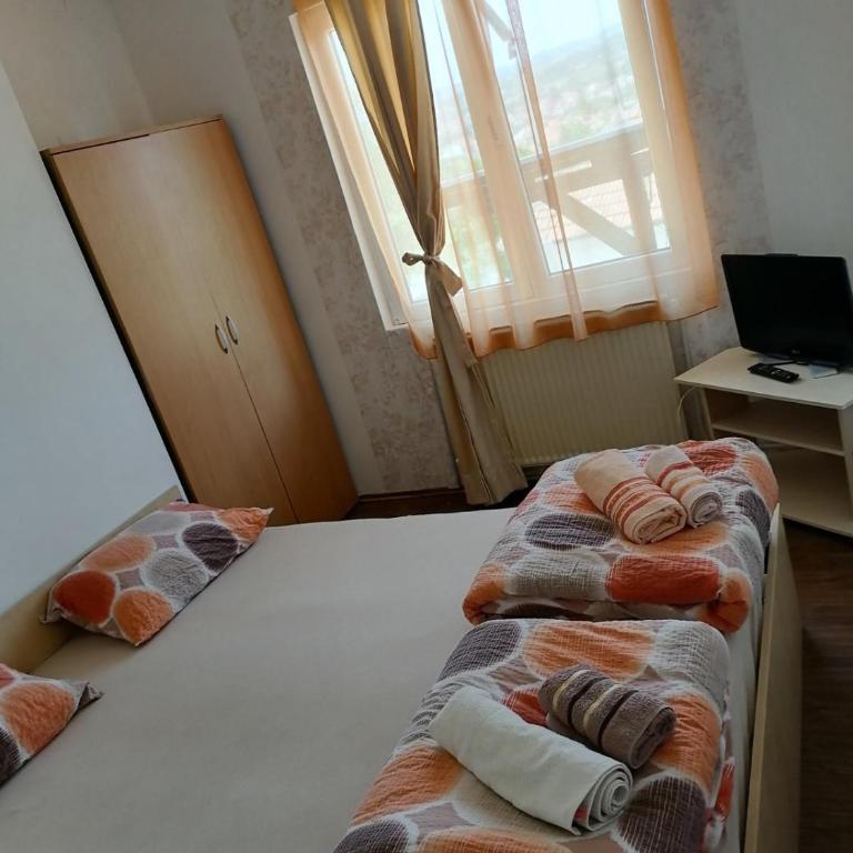 Apartmani Milosavljevic - Vila - 9