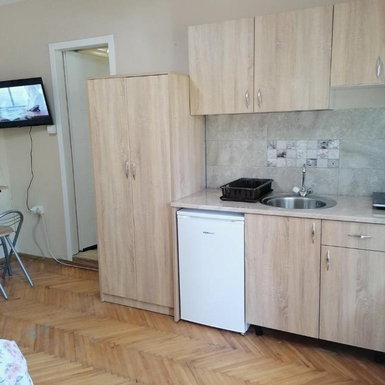 Apartmani Milosavljevic - Vila - 2