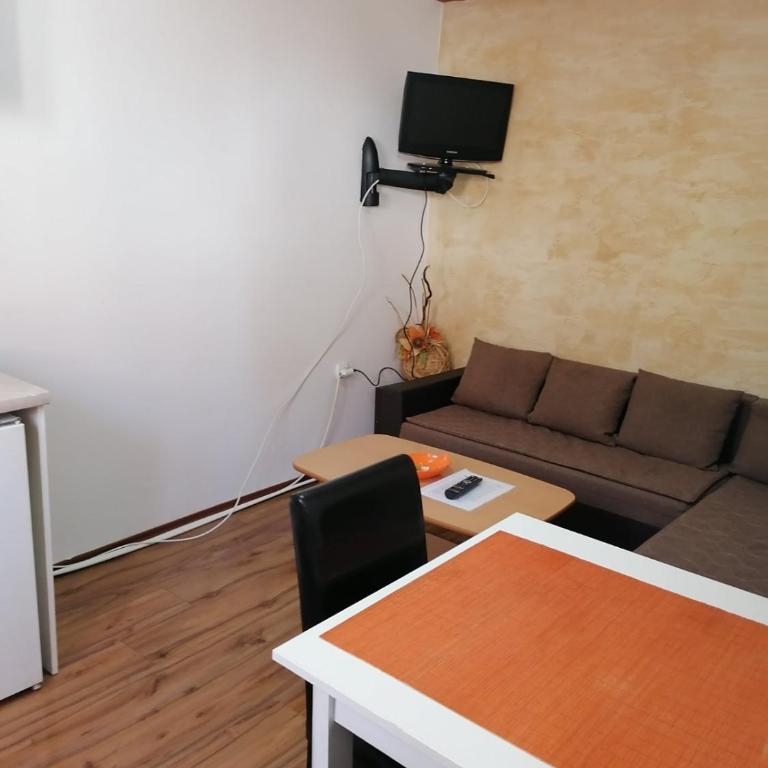 Apartmani Milosavljevic - Vila - 4