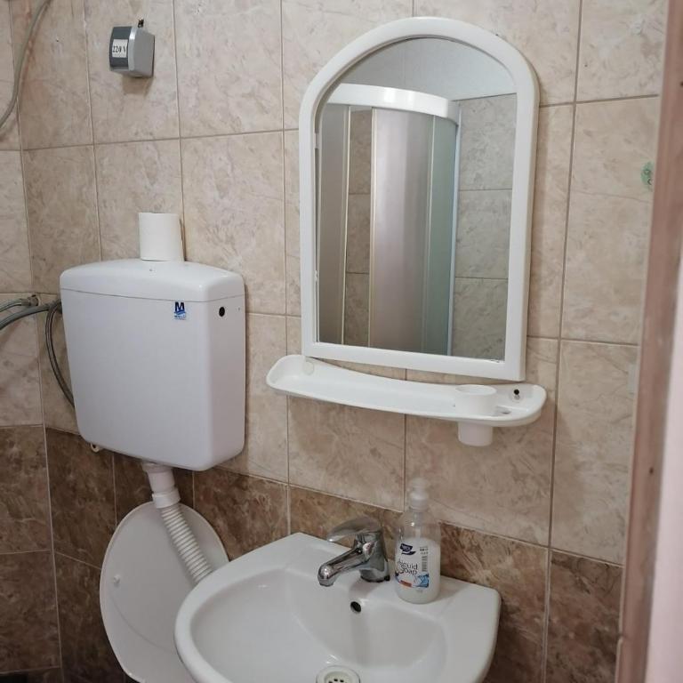 Apartmani Milosavljevic - Vila - 6