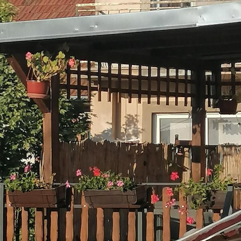 Apartmani Milosavljevic - Vila - 7