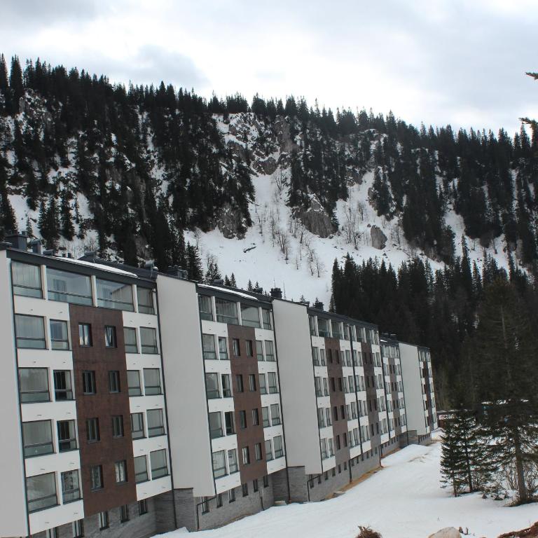 FORESTA Apartment Jahorina - One-Bedroom Apartment - 19