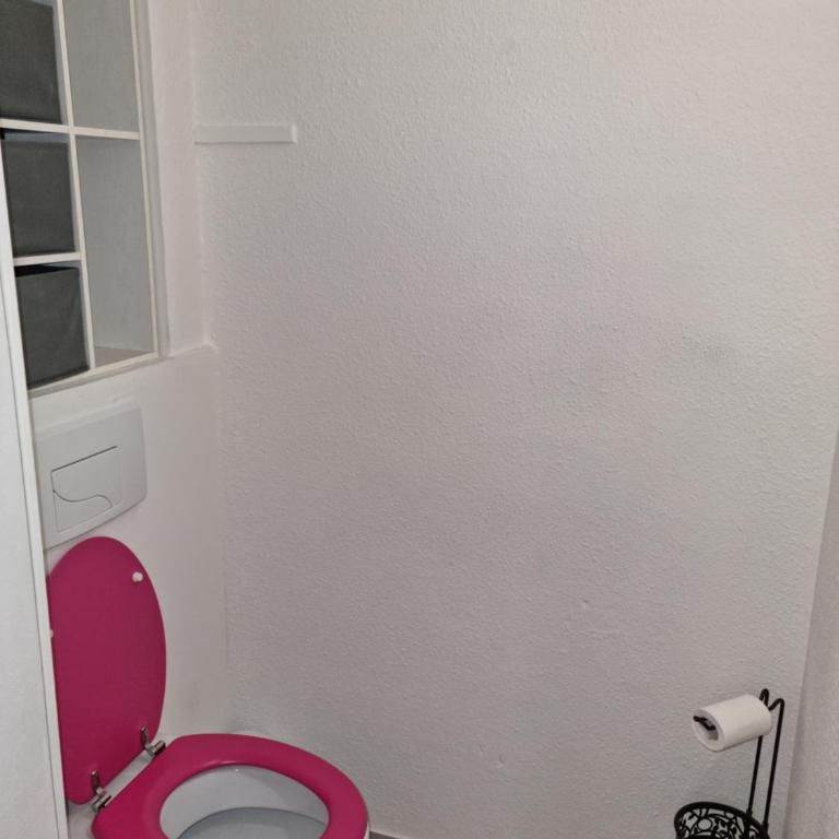 T2 rez de jardins - Apartment mit 1 Schlafzimmer - 12