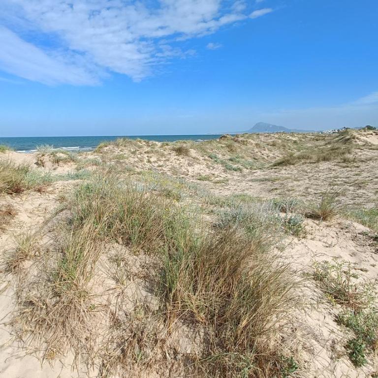 OLIVA NOVA – GOLF&BEACH CABAGUA - Apartamento - 17