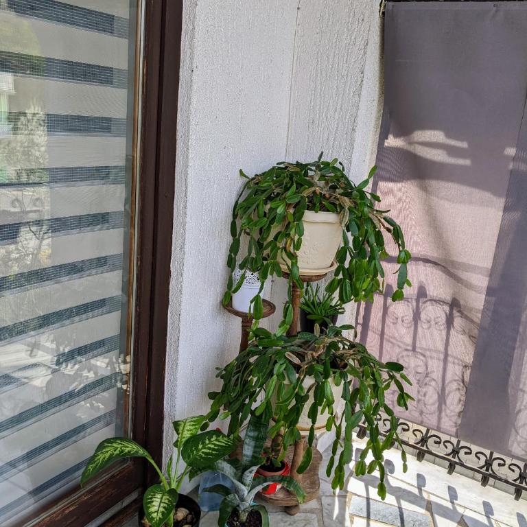 Apartmani Hrastik 2 - One-Bedroom Apartment - 2