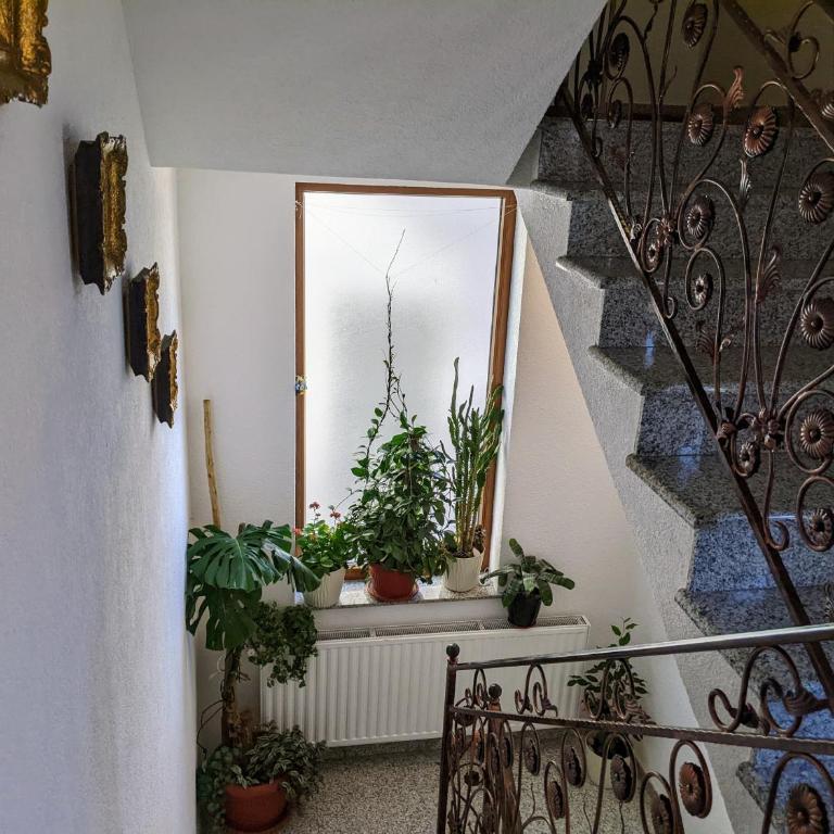 Apartmani Hrastik 2 - One-Bedroom Apartment - 41