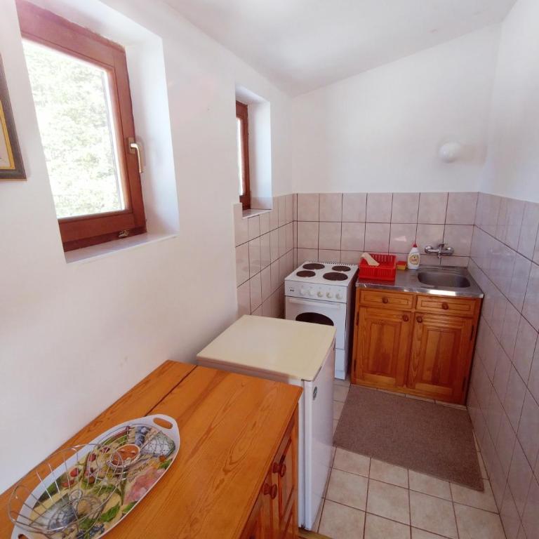 vila Zoran - Apartman sa Terasom - 5
