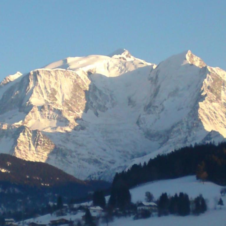 chalet Mont-Blanc - Appartement 1 Chambre - 1