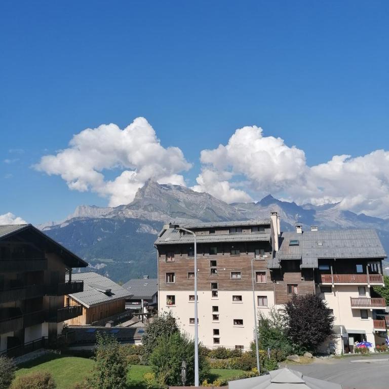 chalet Mont-Blanc - Appartement 1 Chambre - 27