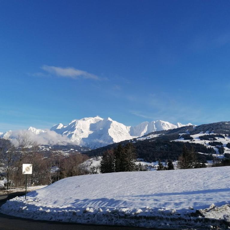 chalet Mont-Blanc - Appartement 1 Chambre - 26