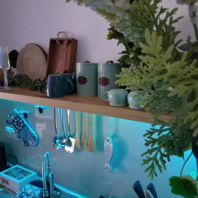 Kathisma Trebinje - Apartman sa 1 Spavaćom Sobom - 25