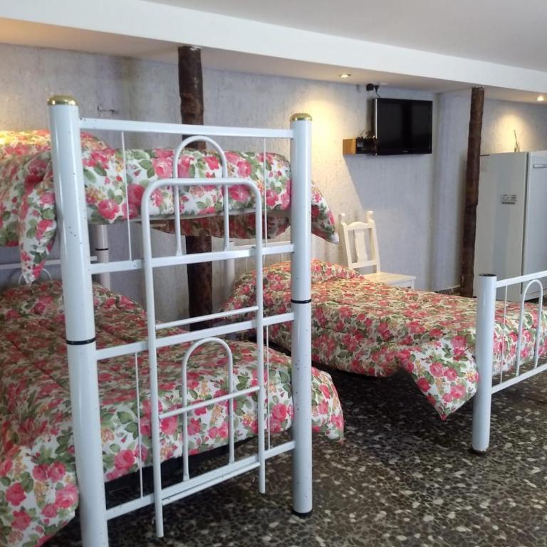 Alma de Campo - Suite Familiar - 3