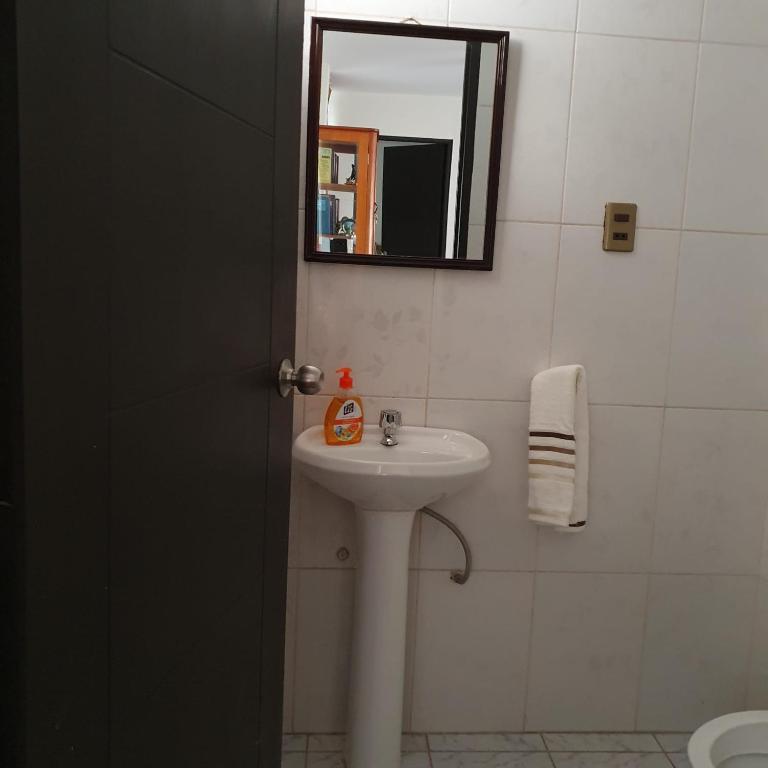 Departamento céntrico - 3 habitaciones - Apartamento de 3 dormitorios - 26