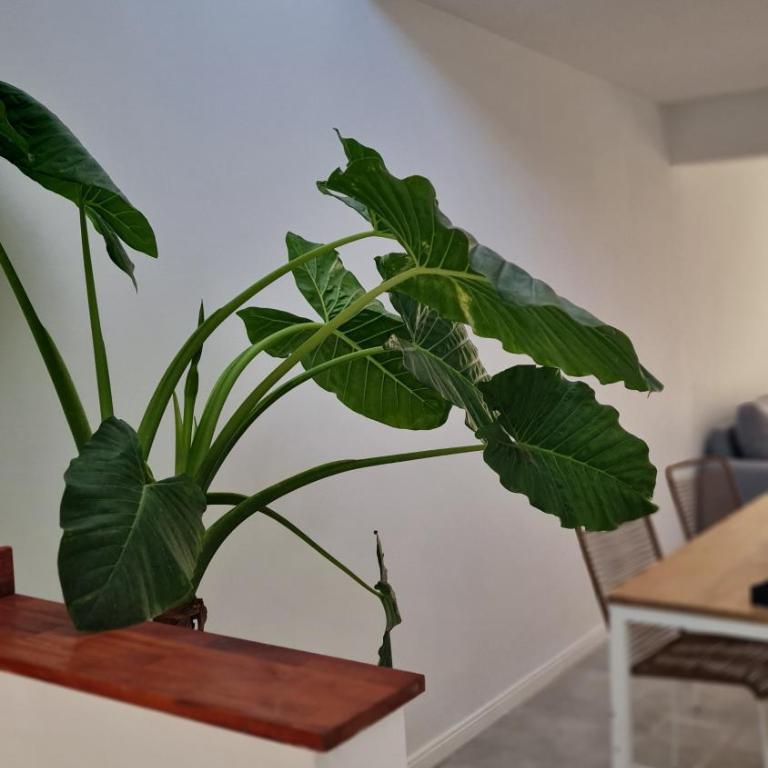 Casa a estrenar equipada para 4 personas - Casa con 1 dormitorio - 13
