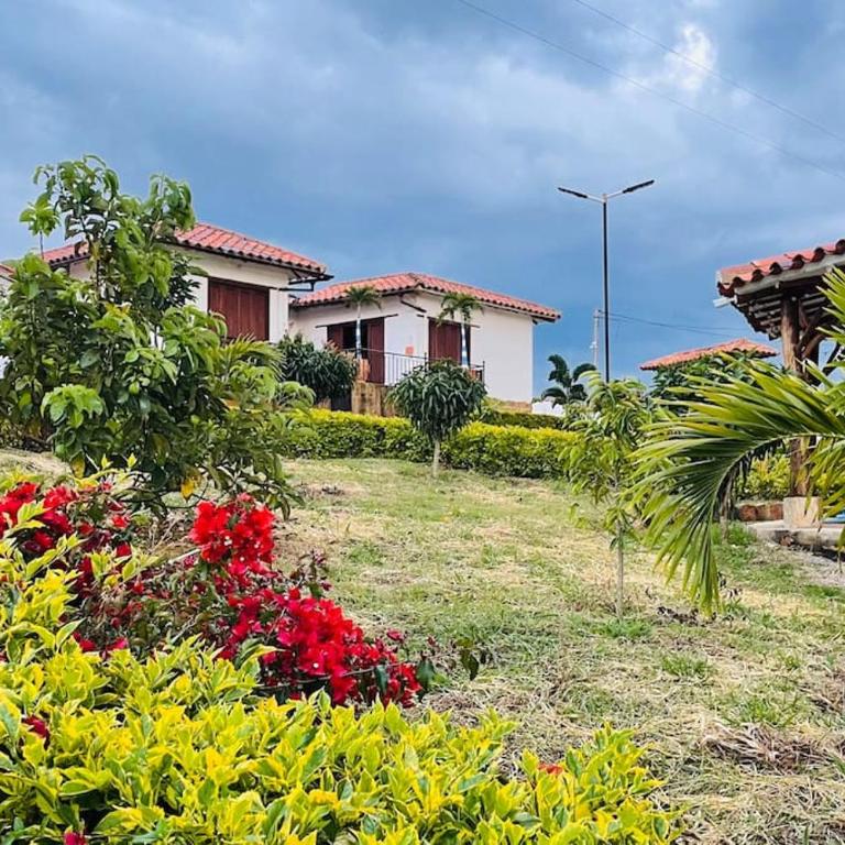 Casa campestre mediterraneo - Villa de 2 dormitorios - 63