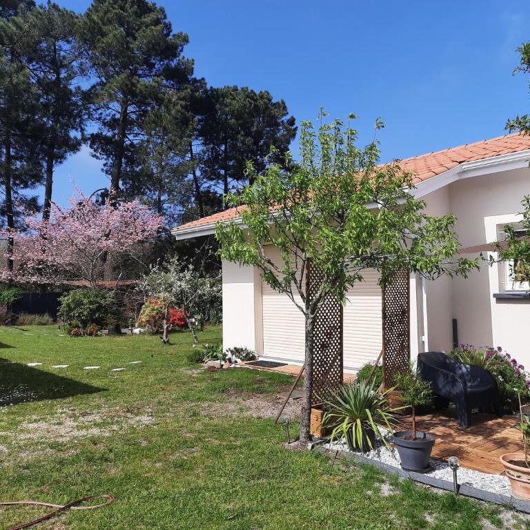 Les Amandiers - Appartement 1 Chambre - 4