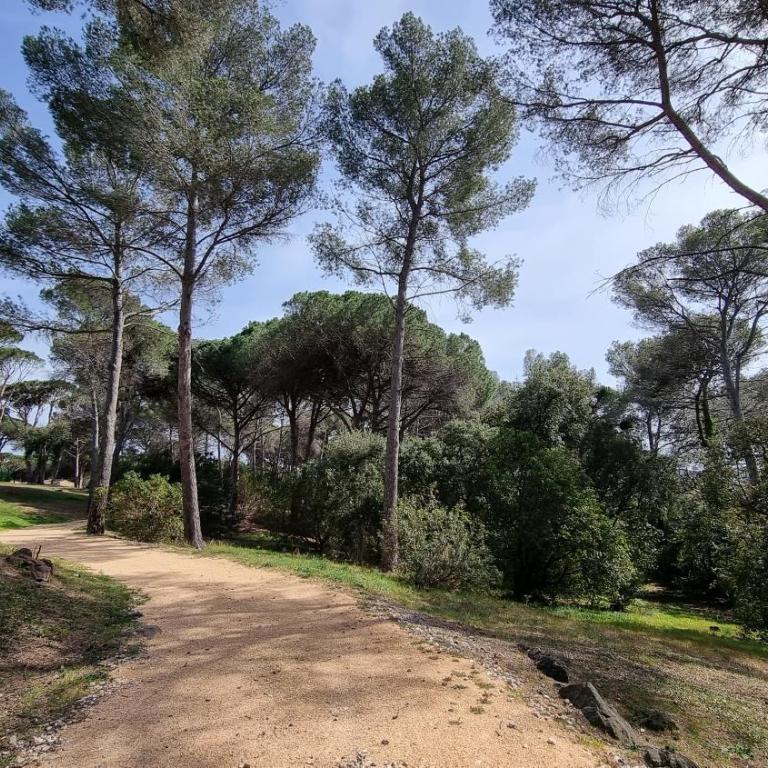 Chez K&D Studio Nature avec piscine St Raphaël - Apartamento - Planta baja - 26