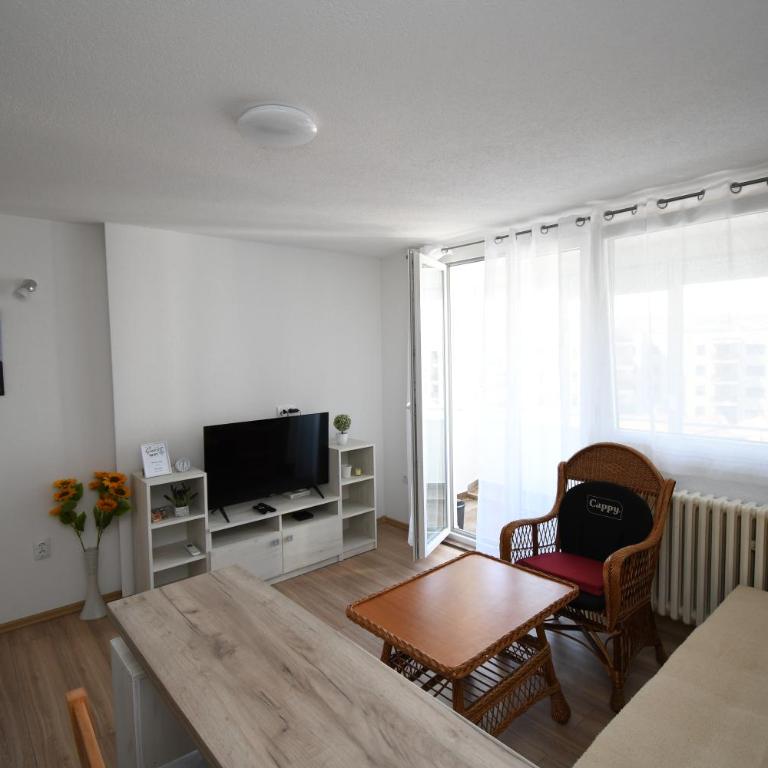 Apartman "Dunja 3" Banja Luka - Apartman sa 1 Spavaćom Sobom - 11