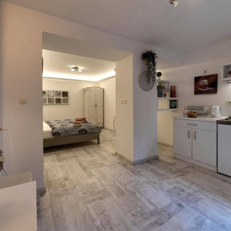 Apartments Villa Mike - Double Room with Kitchenette - 12