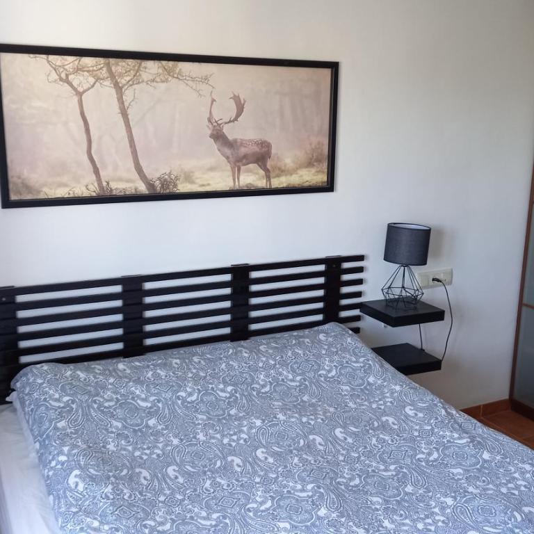 Casa Altos 76 - Three-Bedroom House - 10