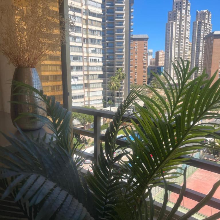 PRECIOSO APARTAMENTO EN EL CENTRO DE BENIDORM - Apartment - 13