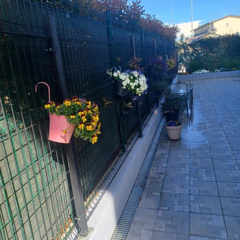Alessietto - Apartment with Terrace - 17