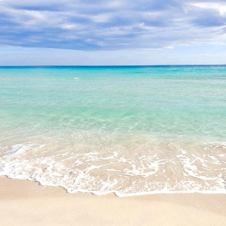 Viola del Mare - Porto Cesareo Apartment - Two-Bedroom Apartment - 4
