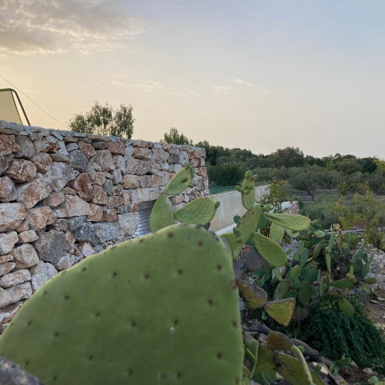 Lacinera Trulli e Lamie - Double Room with Garden View - 33