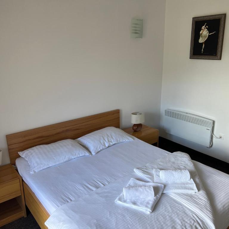 Jazina Hotel - Dvokrevetna Soba sa Bračnim Krevetom i Balkonom - 4