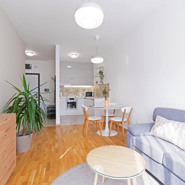 GOLDENBOY apartments, Banja Luka - Apartman sa 1 Spavaćom Sobom - 1