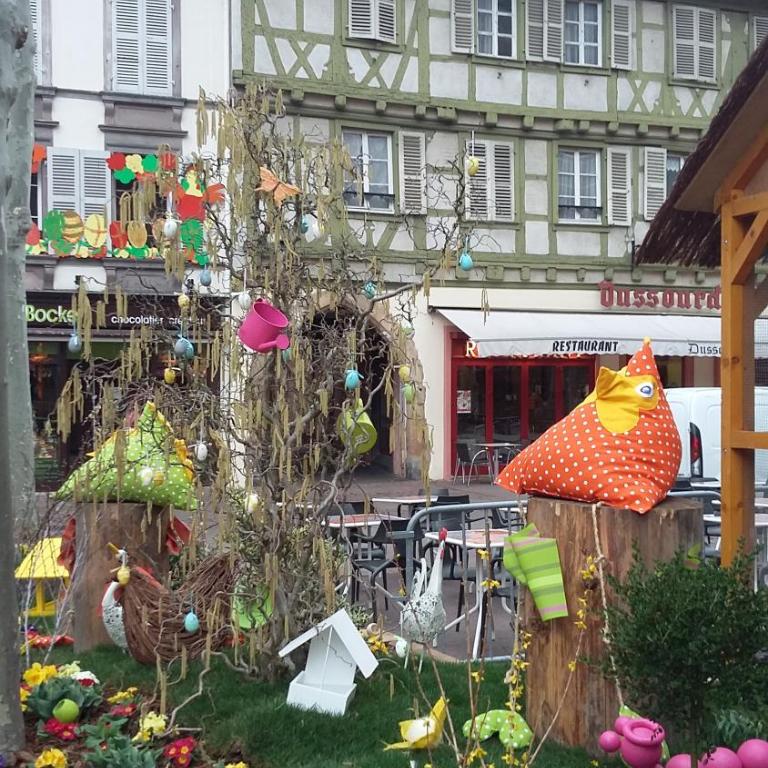 Commanderie Cottage Colmar - Appartement - Vue sur Jardin - 38