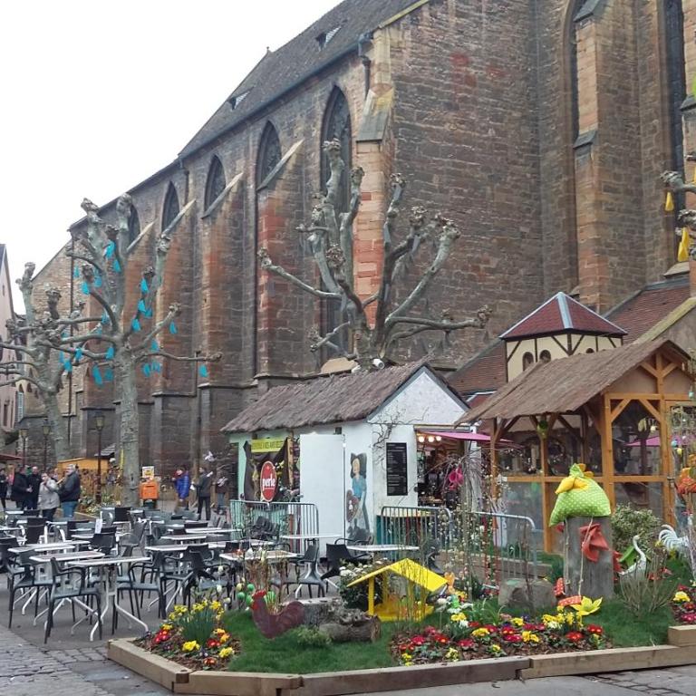 Commanderie Cottage Colmar - Appartement - Vue sur Jardin - 40