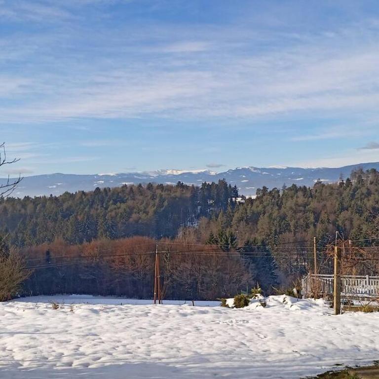 Ferienhaus Hefentrager Nähe Schilcherweinstraße - Haus mit 2 Schlafzimmern - 50