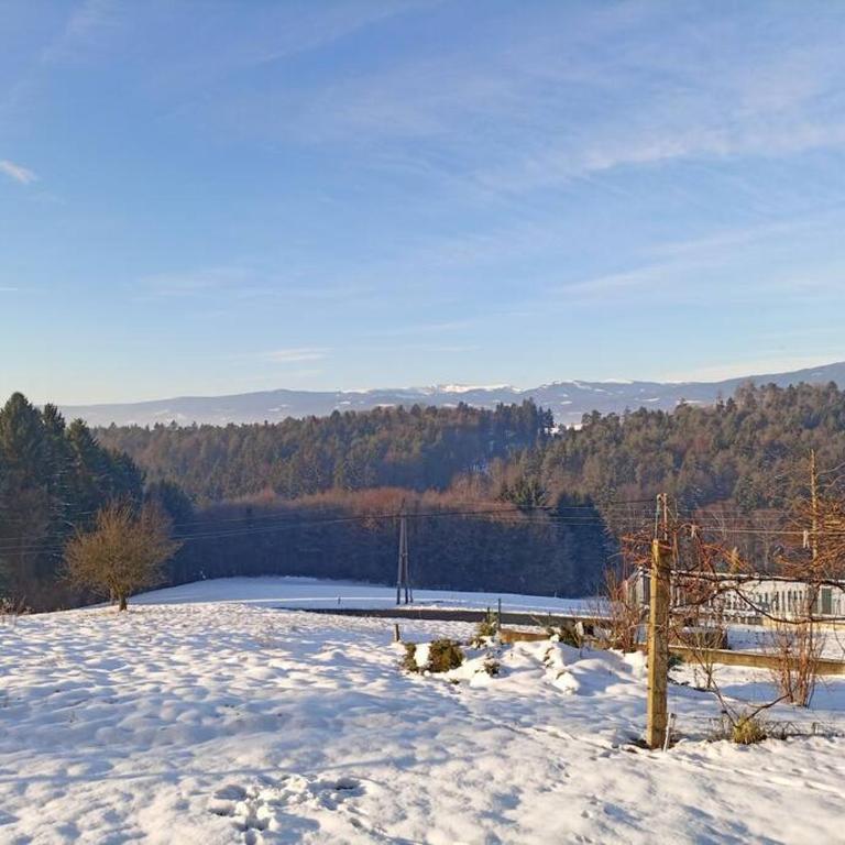 Ferienhaus Hefentrager Nähe Schilcherweinstraße - Haus mit 2 Schlafzimmern - 54