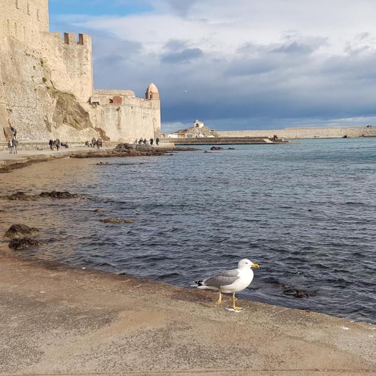 APP' ART CENTRE PLAGE + PARKING GRATUIT - Apartment mit 2 Schlafzimmern - 43
