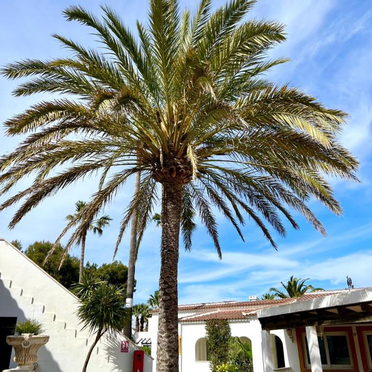 Menorca Chic Apartment Near Beach & Harbour - Apartamento de 2 dormitorios - 31