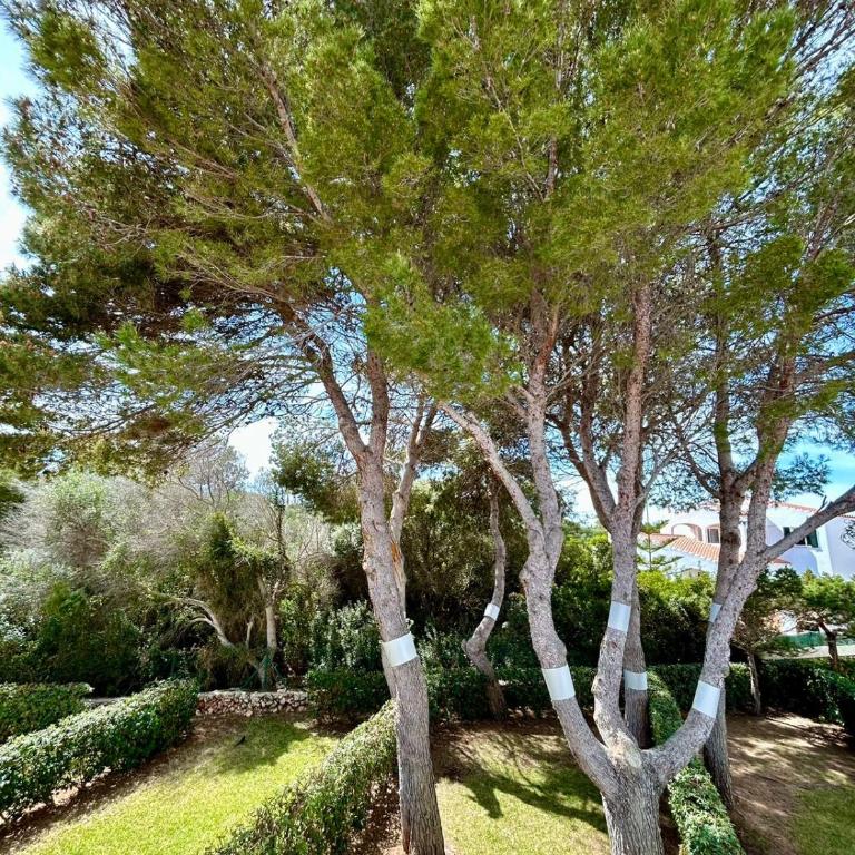 Menorca Chic Apartment Near Beach & Harbour - Apartamento de 2 dormitorios - 32
