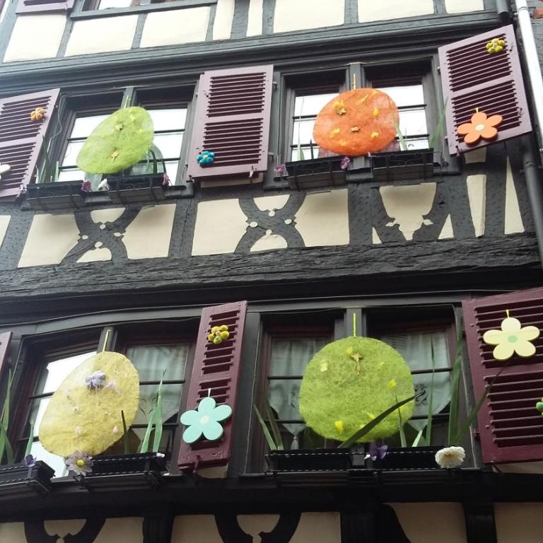 Commanderie Cottage Colmar - Appartement - Vue sur Jardin - 36