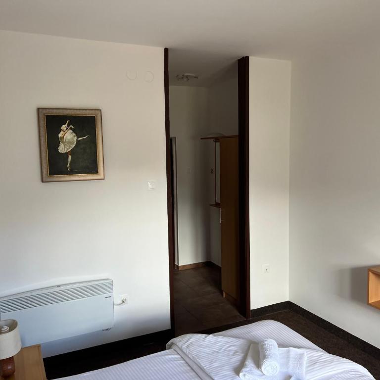 Jazina Hotel - Standardna Dvokrevetna Soba sa Bračnim Krevetom - 3