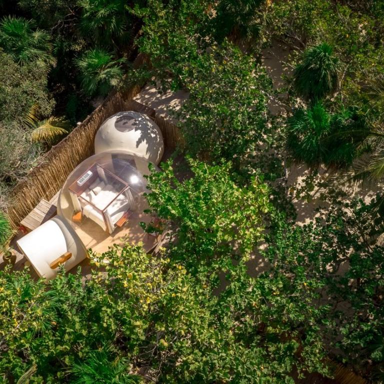Astral Tulum - Tent - 2