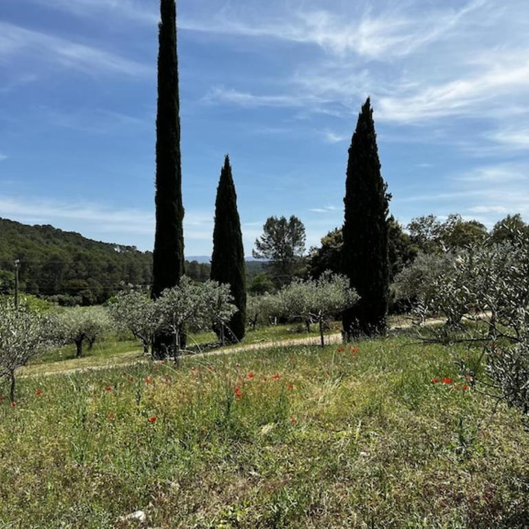 Charming, chic, secluded villa within walking distance from Lorgues - Villa - 53