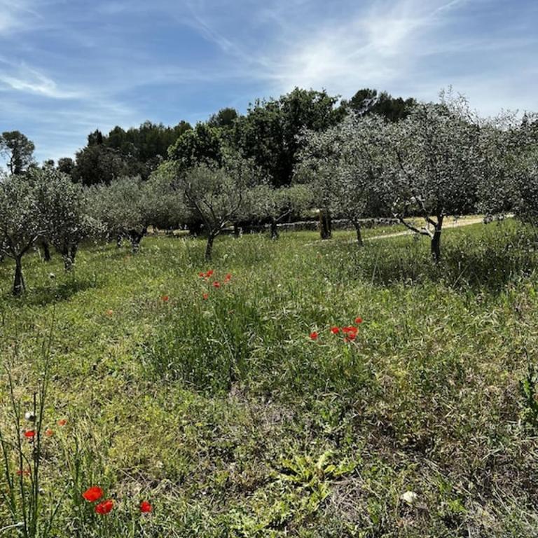 Charming, chic, secluded villa within walking distance from Lorgues - Villa - 52