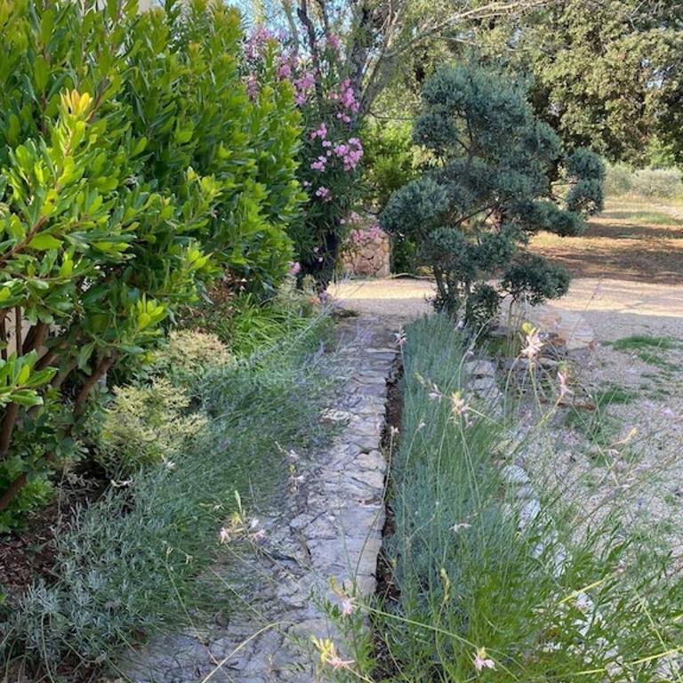 Charming, chic, secluded villa within walking distance from Lorgues - Villa - 55